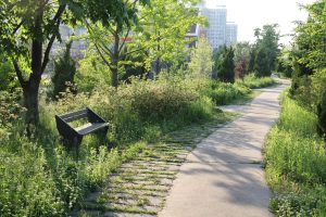 Sunlit park path winding through greenery with a leaning black bench on the left.